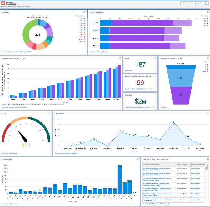 Salesforce Reports and Dashboards - Gold Alder